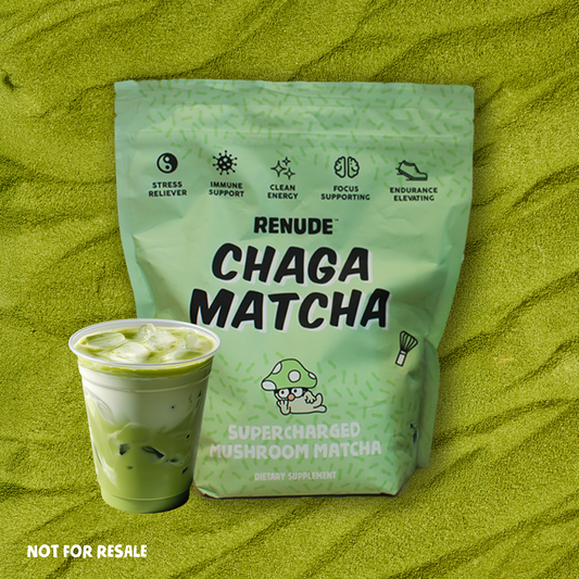 Chaga Matcha 1kg Bag